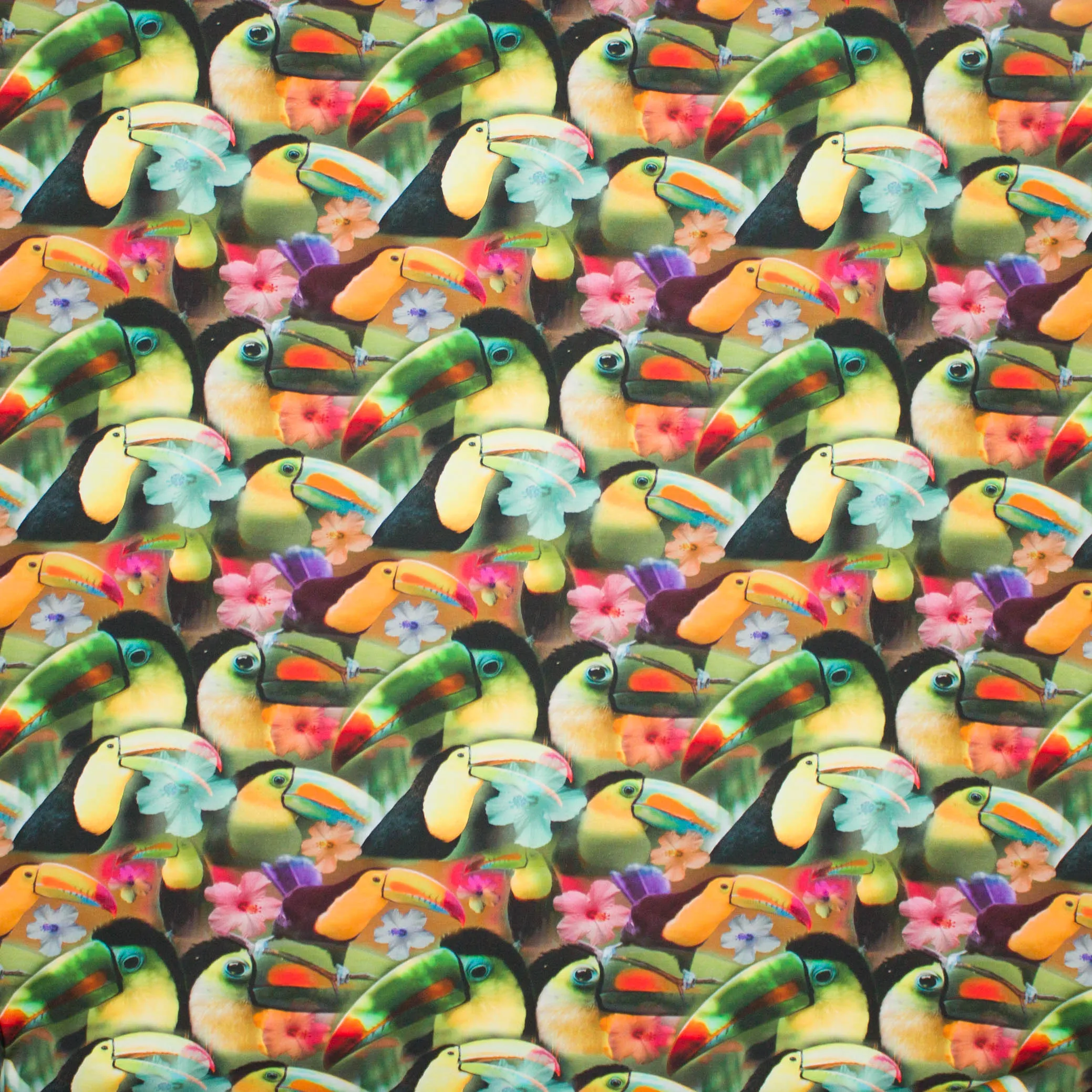 Tricot tropisch toekan fotoprint