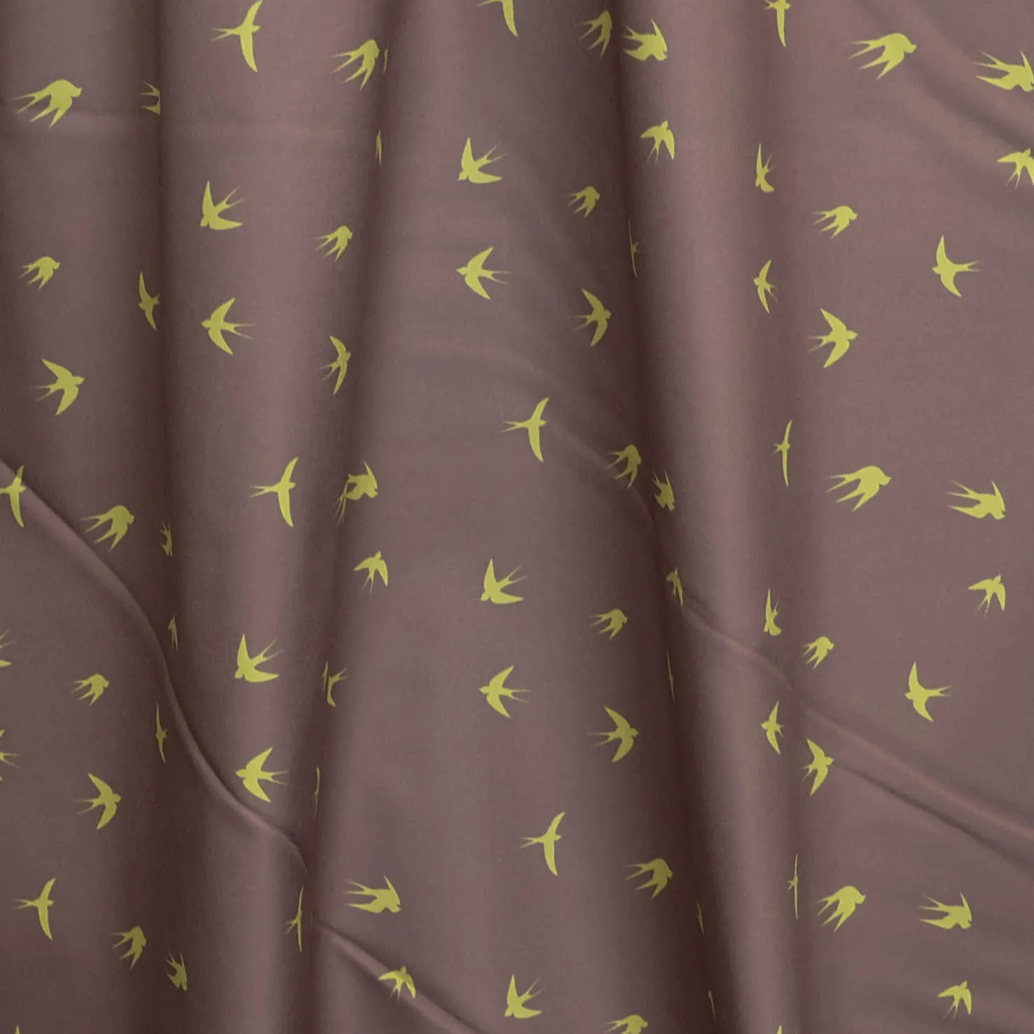 Softshell taupe met zwaluwen