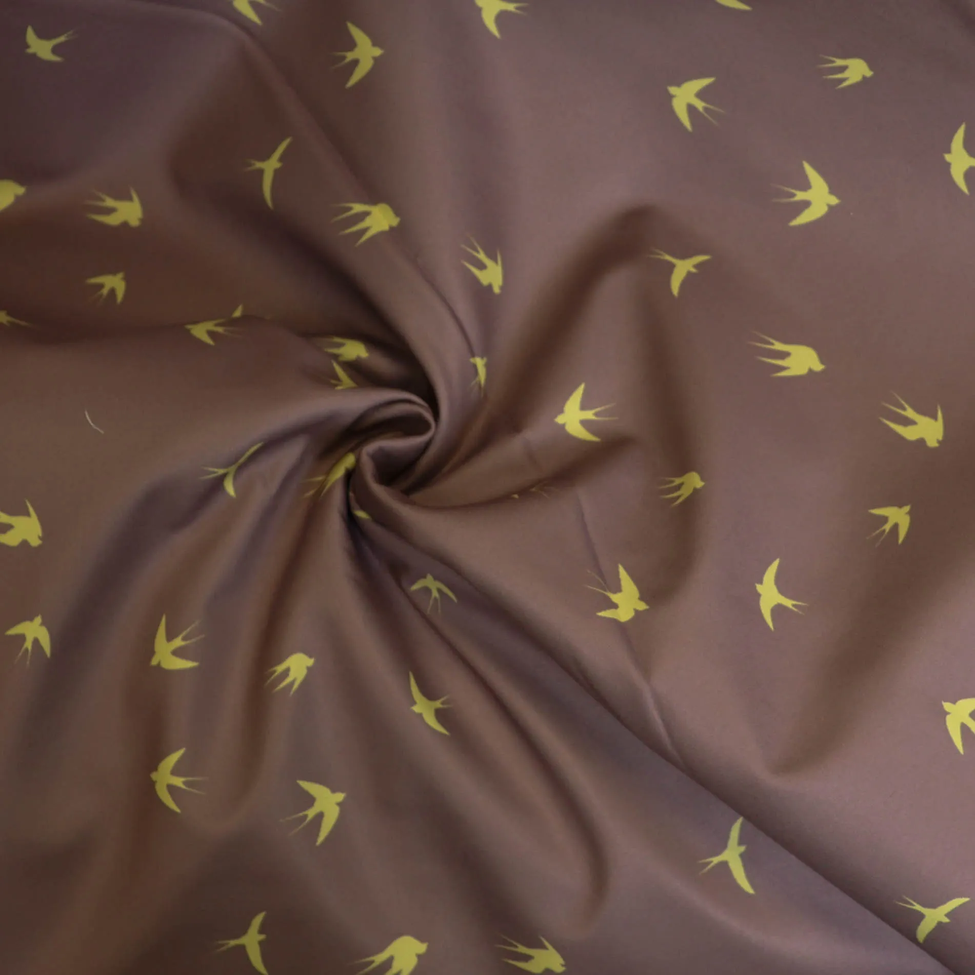 Softshell taupe met zwaluwen