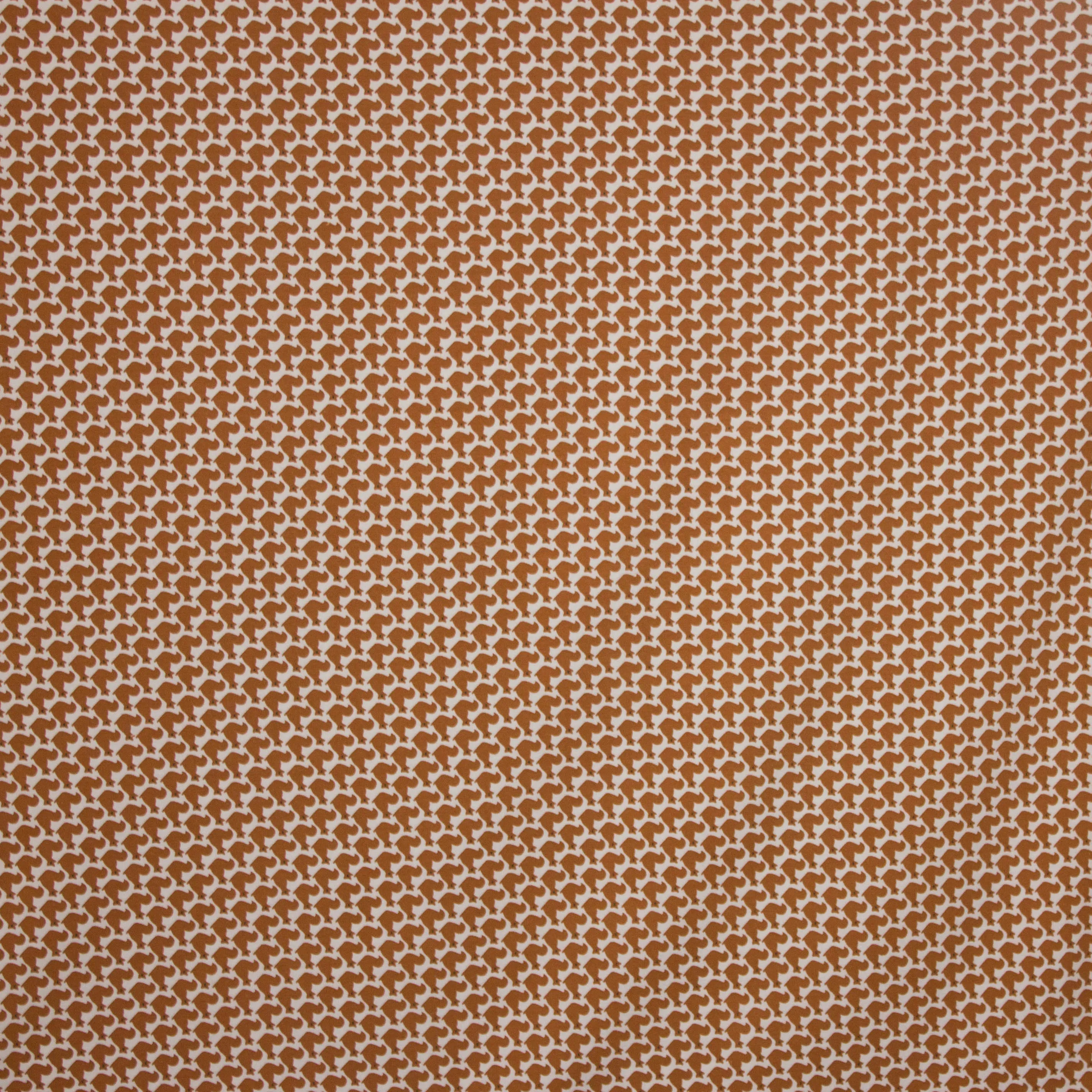 Katoen tricot met eekhoornmotief