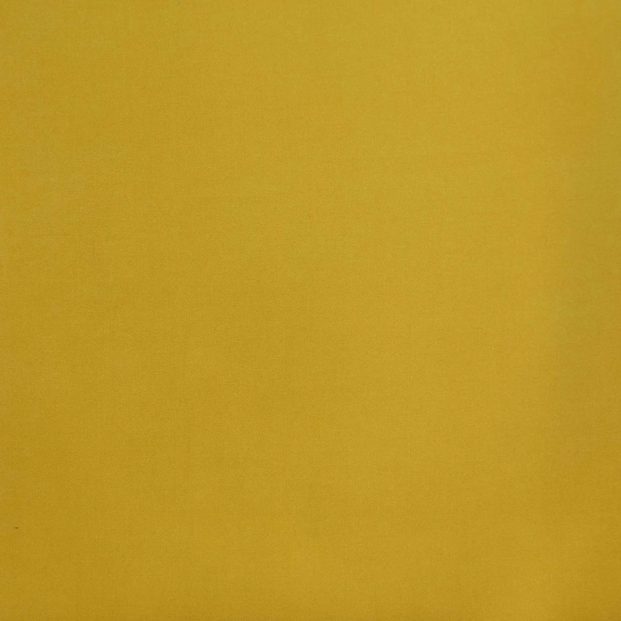 Stretch polyester mosterd