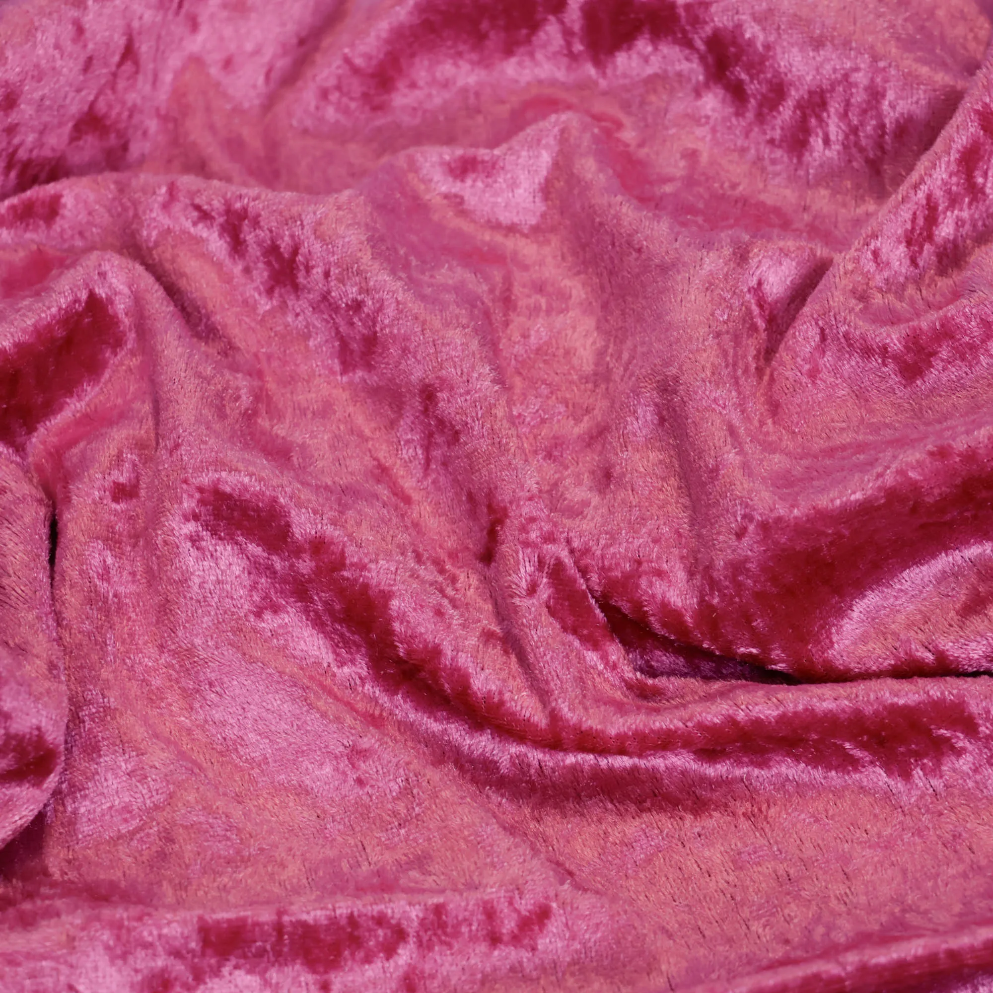 Panvelours uni fuchsia