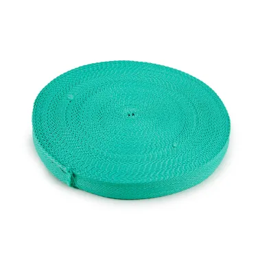 Tassenband 30 mm aqua - Katia