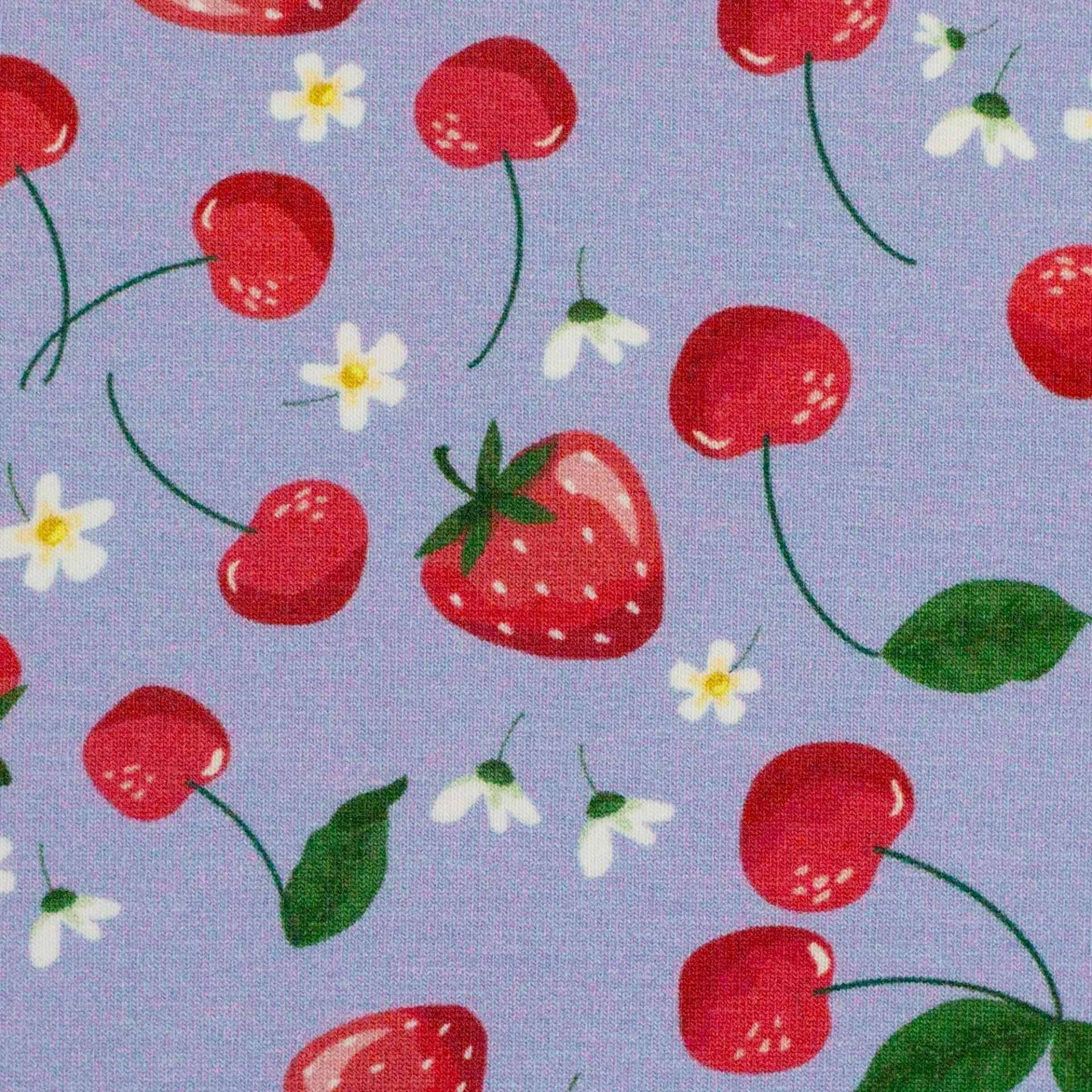 Tricot paars met aardbeien en kersen
