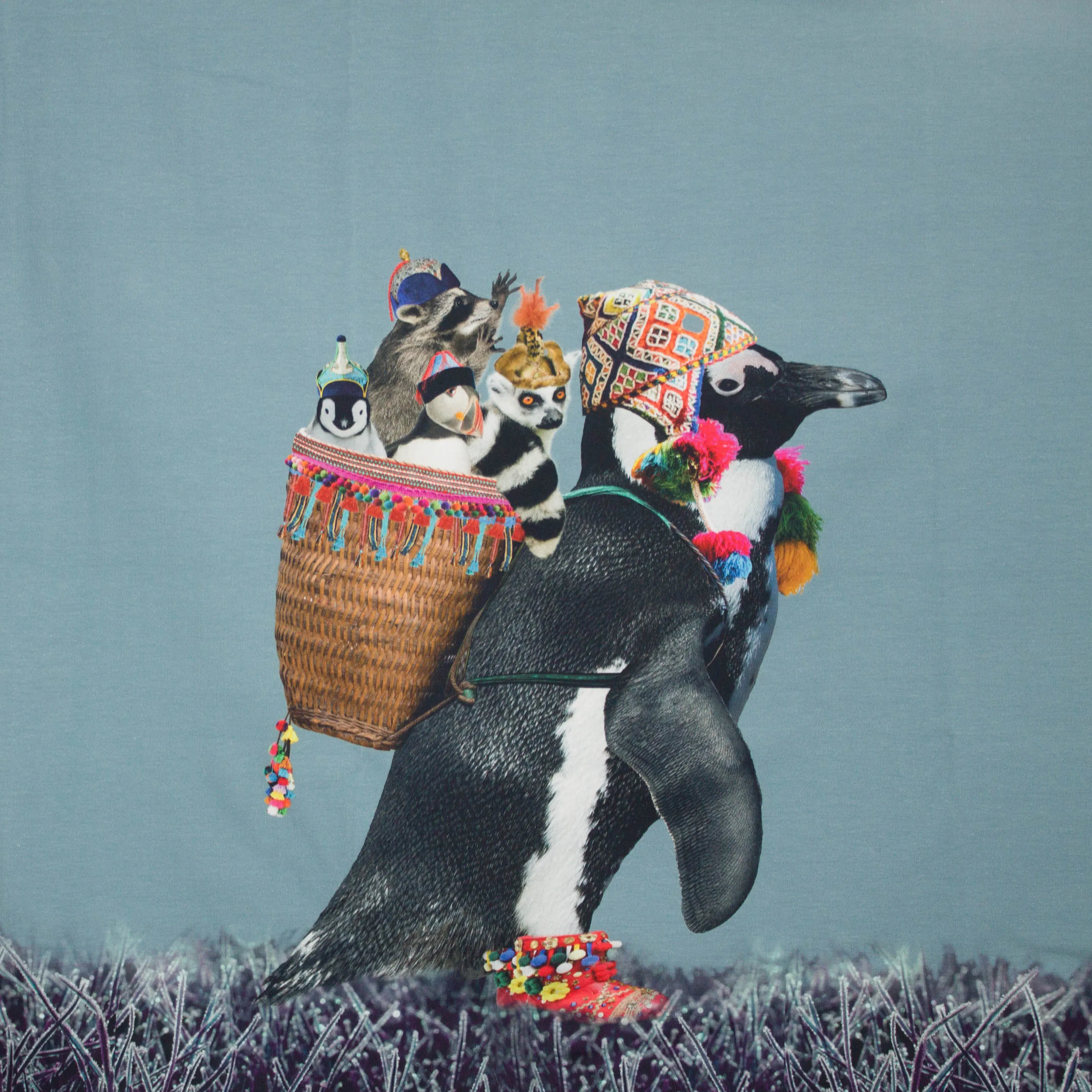 paneel pinguin met muts