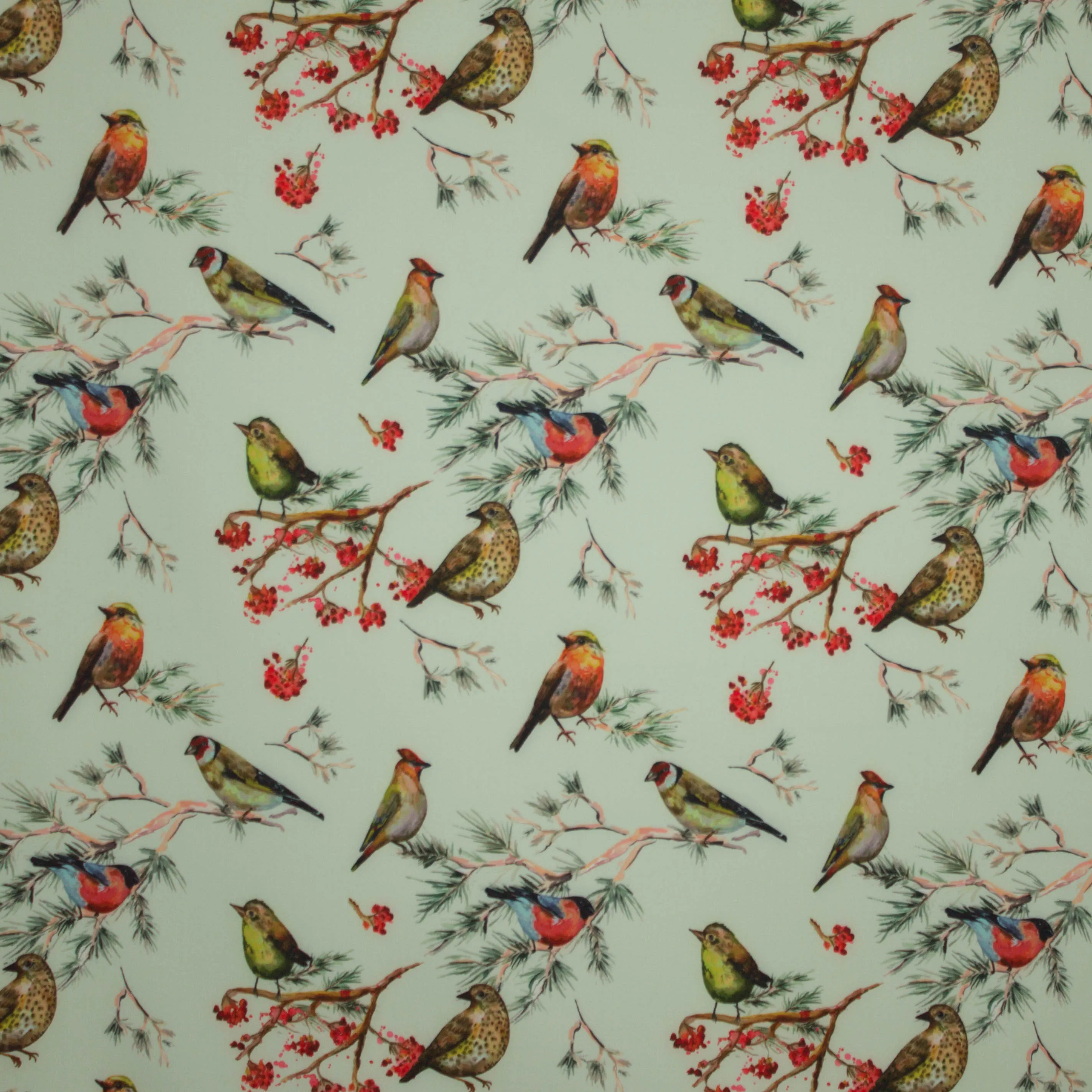 Munt softshell met vogelmotief
