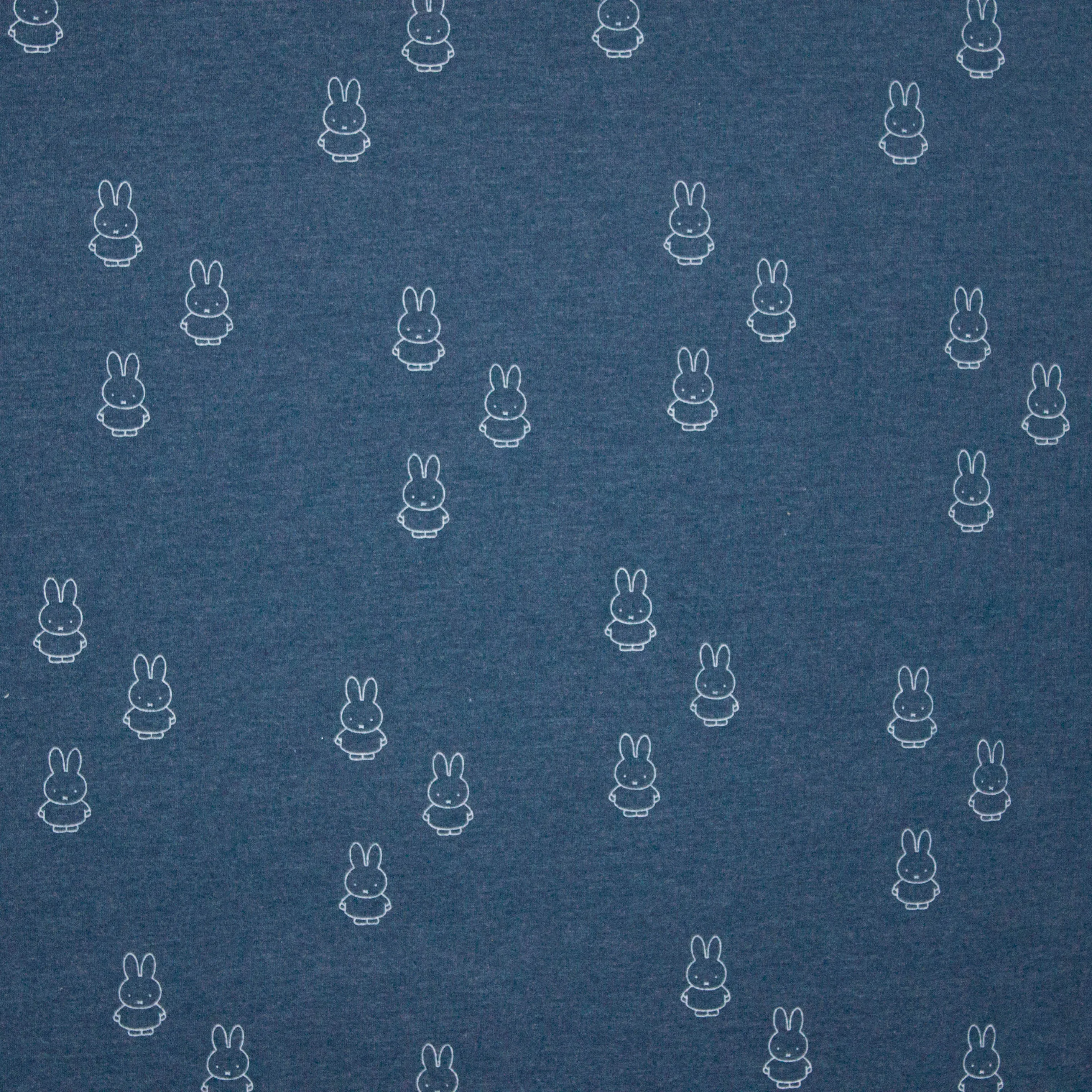 Blauwe tricot met nijntje