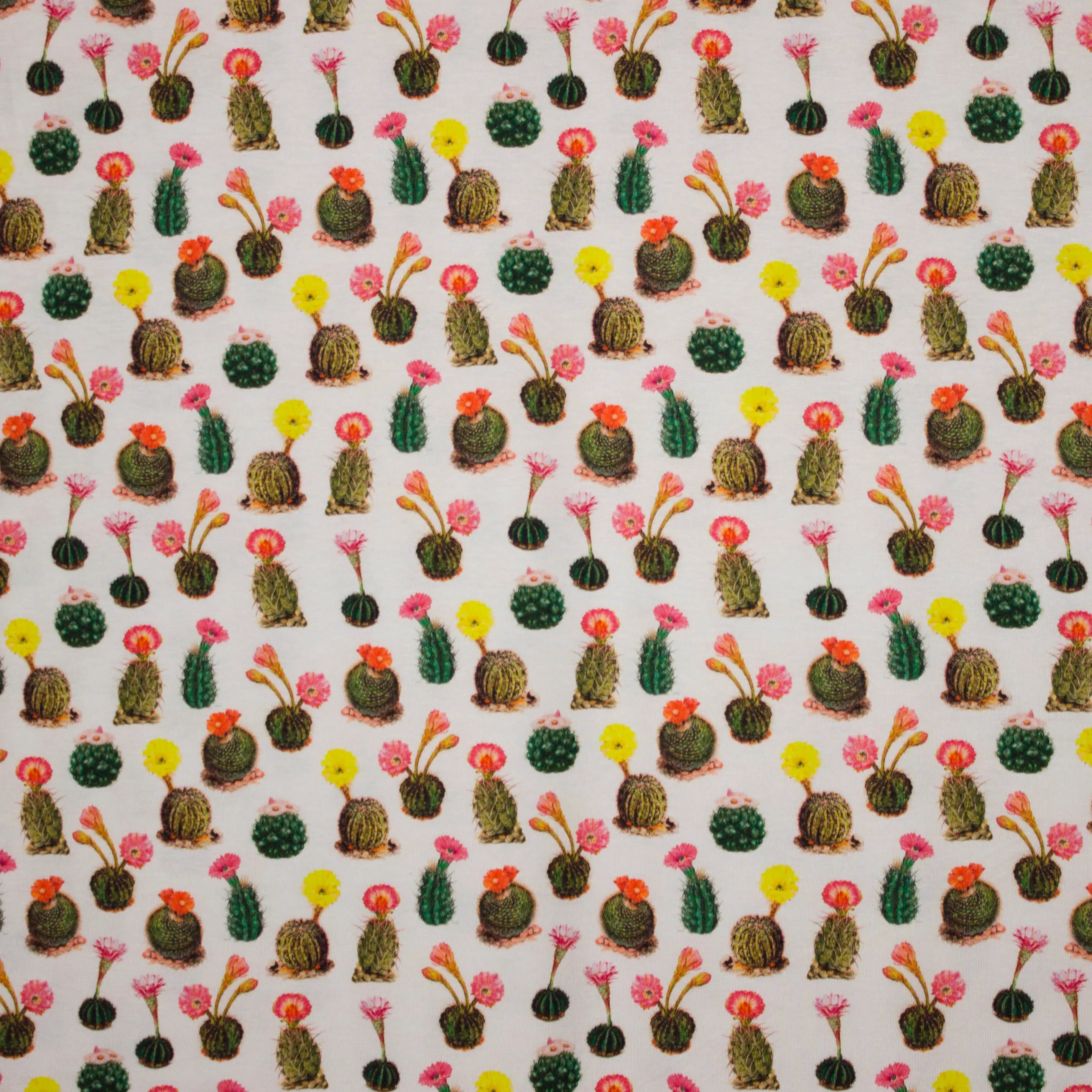 Ecru tricot met cactussen