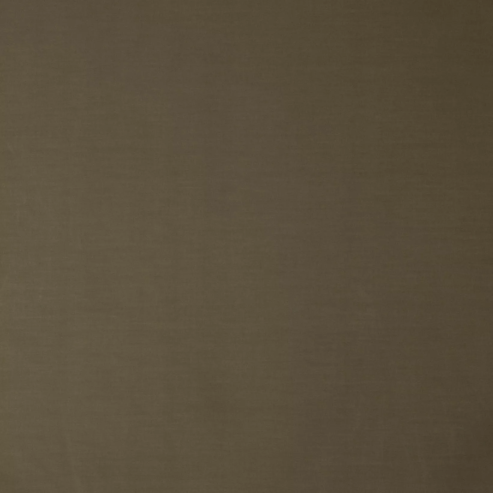 Groene glanzende polyester van 'Fibre Mood'