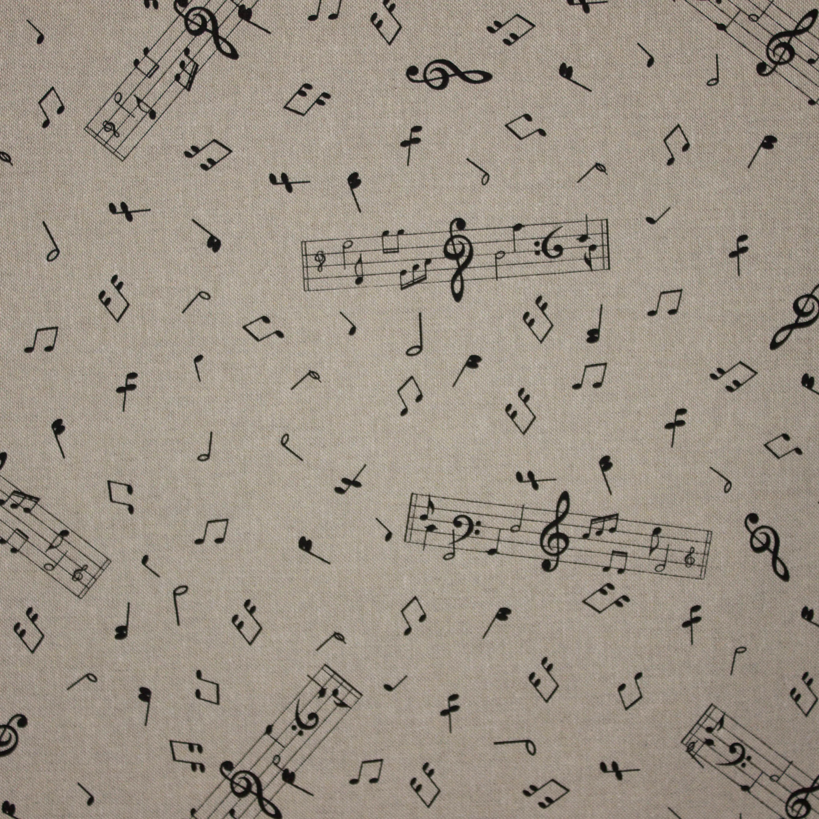 Canvas met muzieknootjes