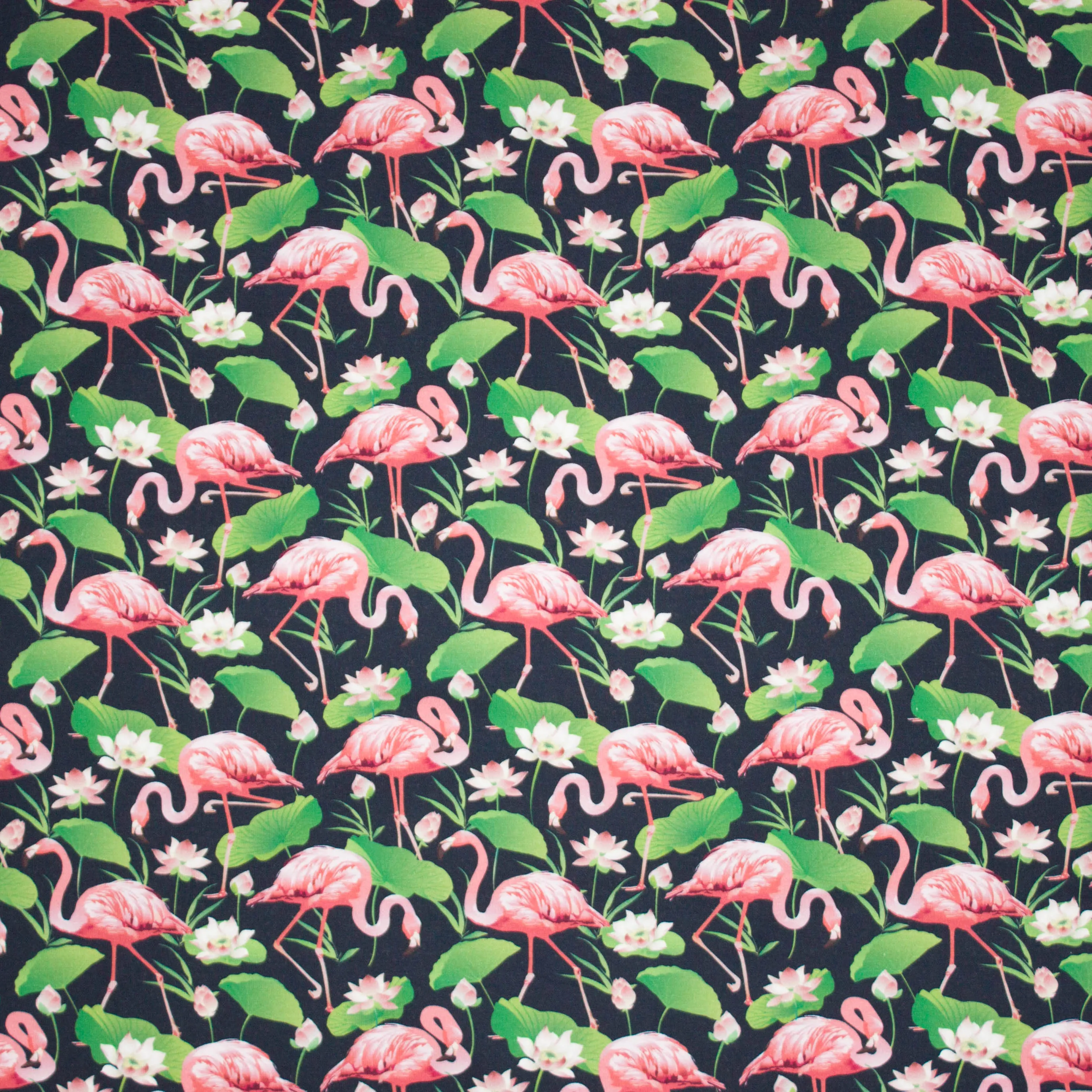 Zwarte tricot met flamingo's