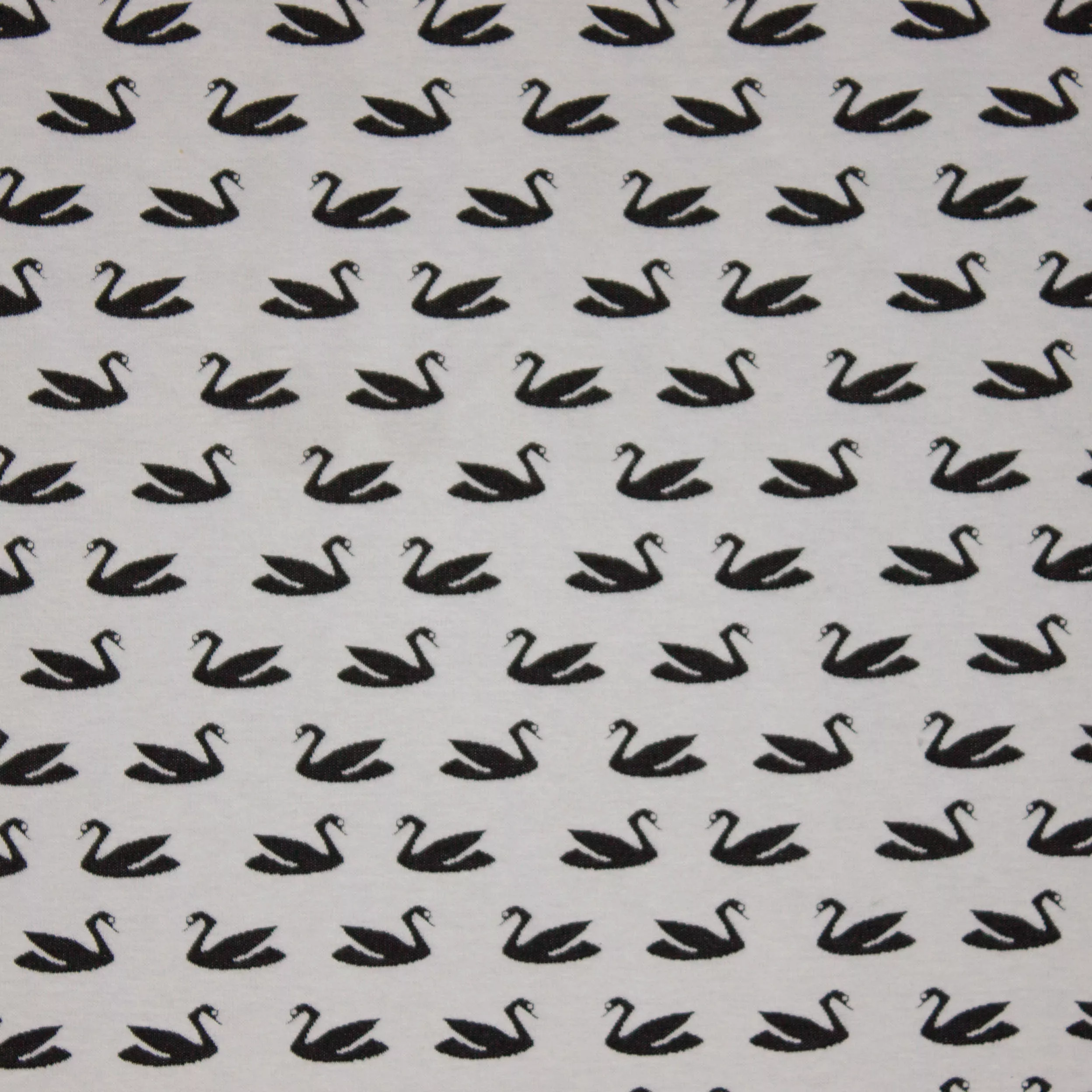 Ecru stretch jacquard met zwarte zwanen