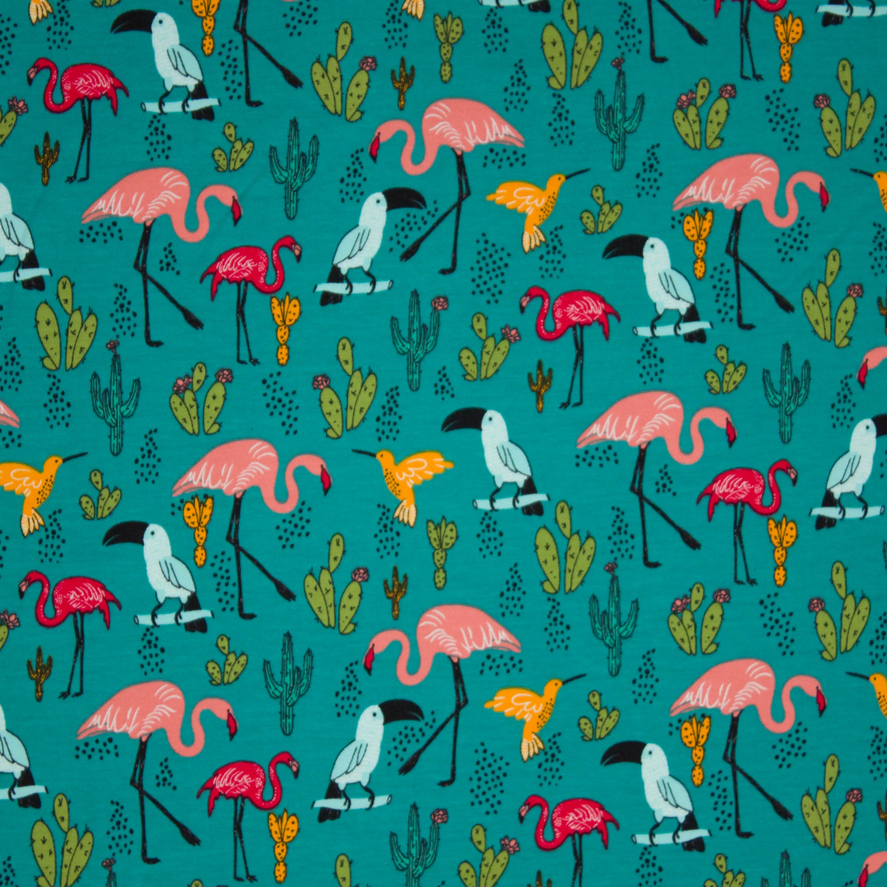 Petrol french terry met vogels en cactussen