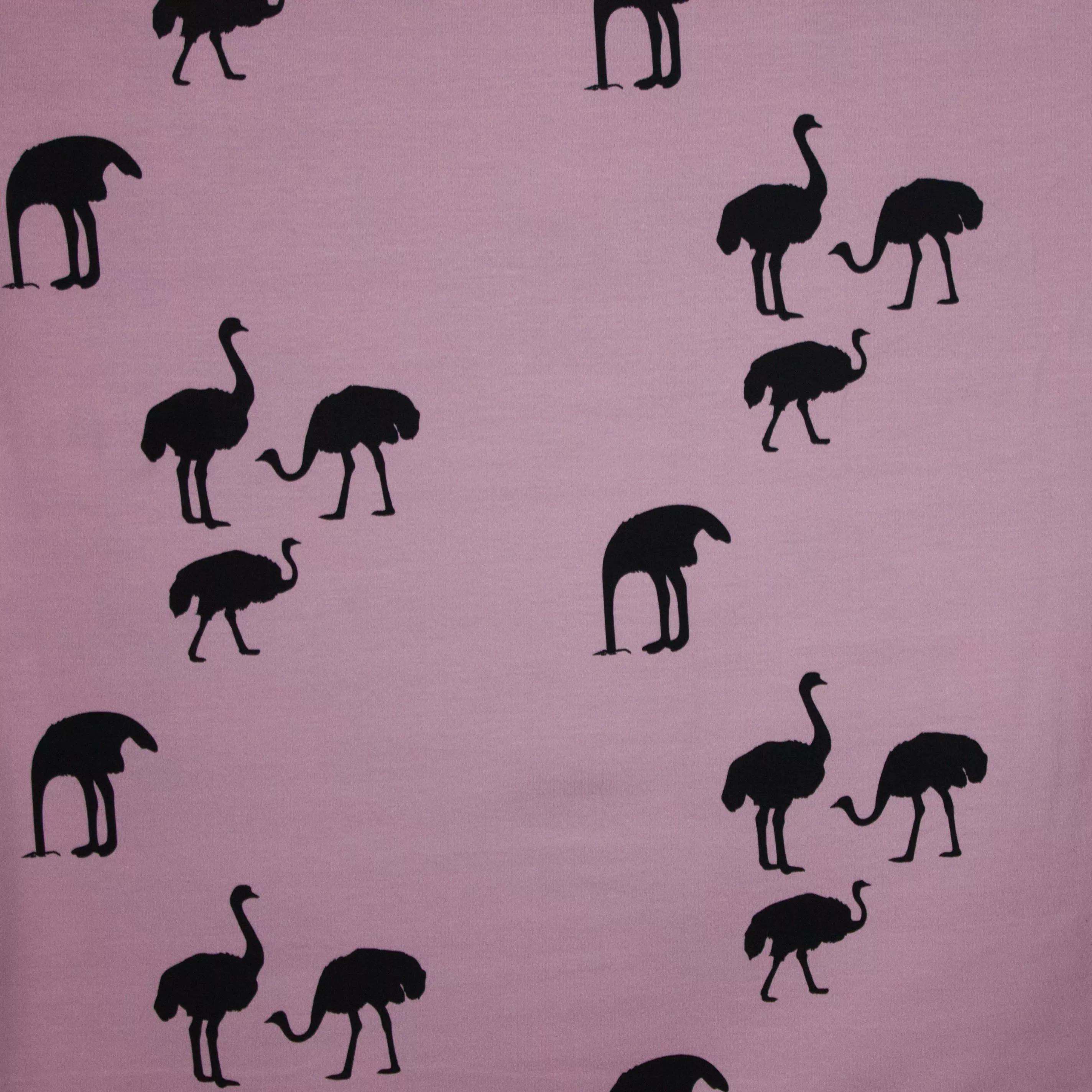 French Terry lila roze struisvogelmotief