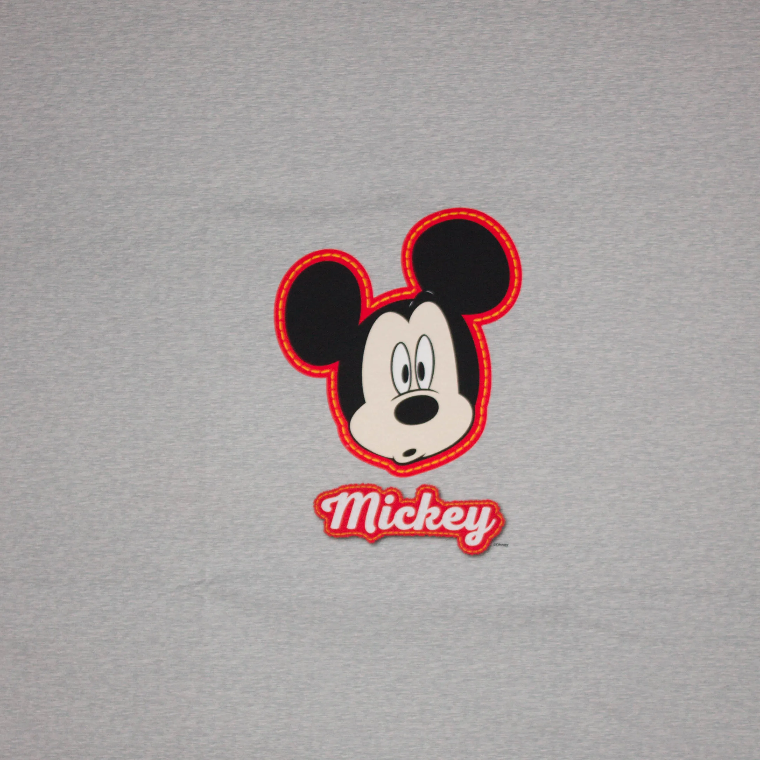Paneel Disney licentie Mickey Mouse