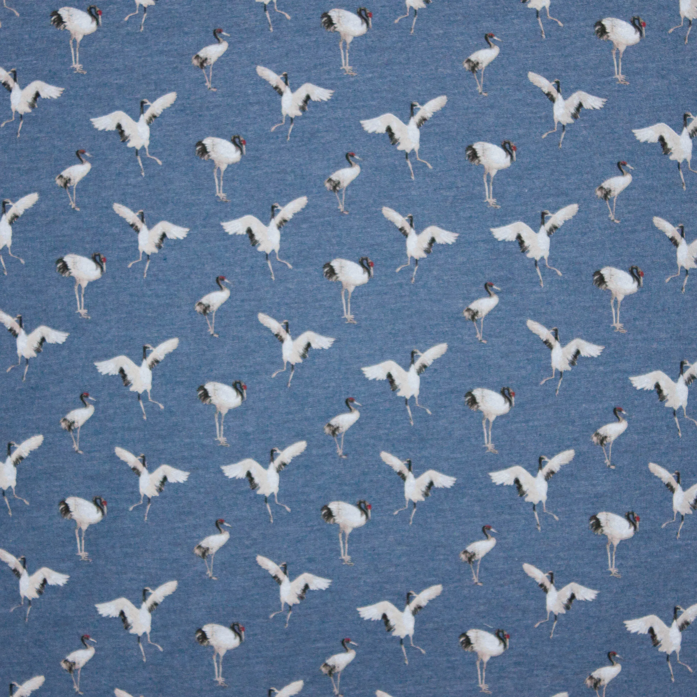 Jeansblauwe sweaterstof met vogelmotief
