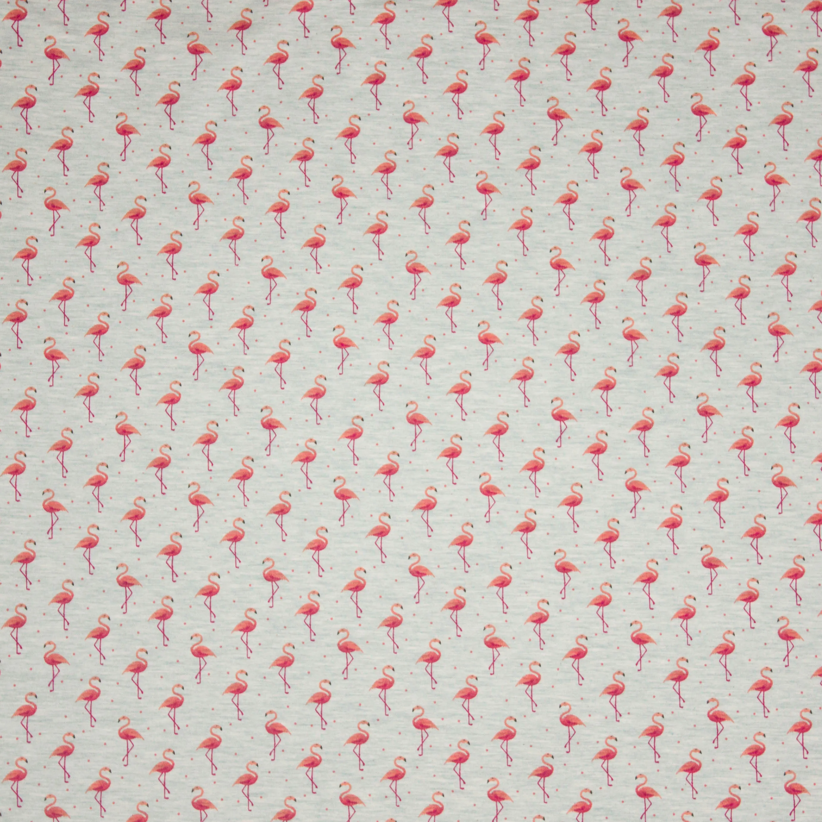 Licht grijze tricot met flamingo motief
