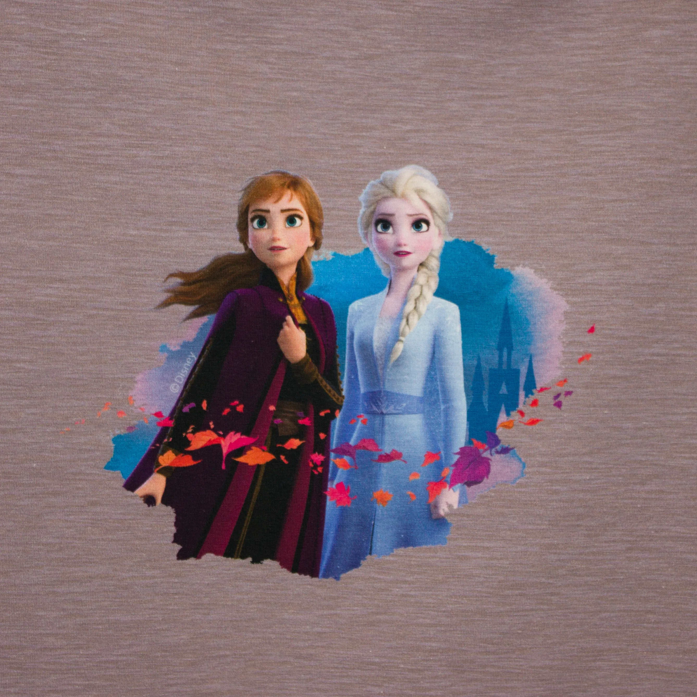Paneel Disney Frozen 2 - 65 cm
