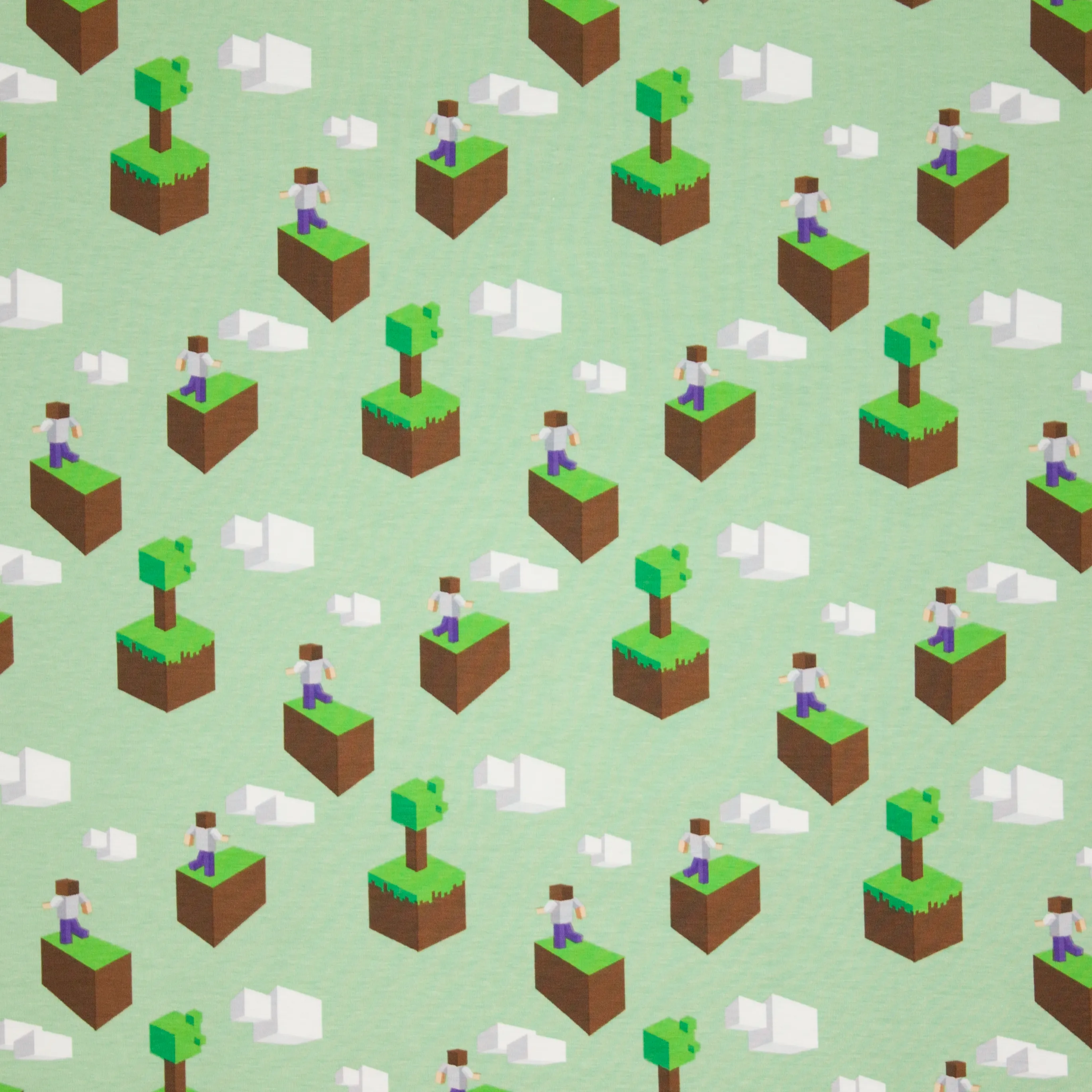 Munt tricot Minecraft