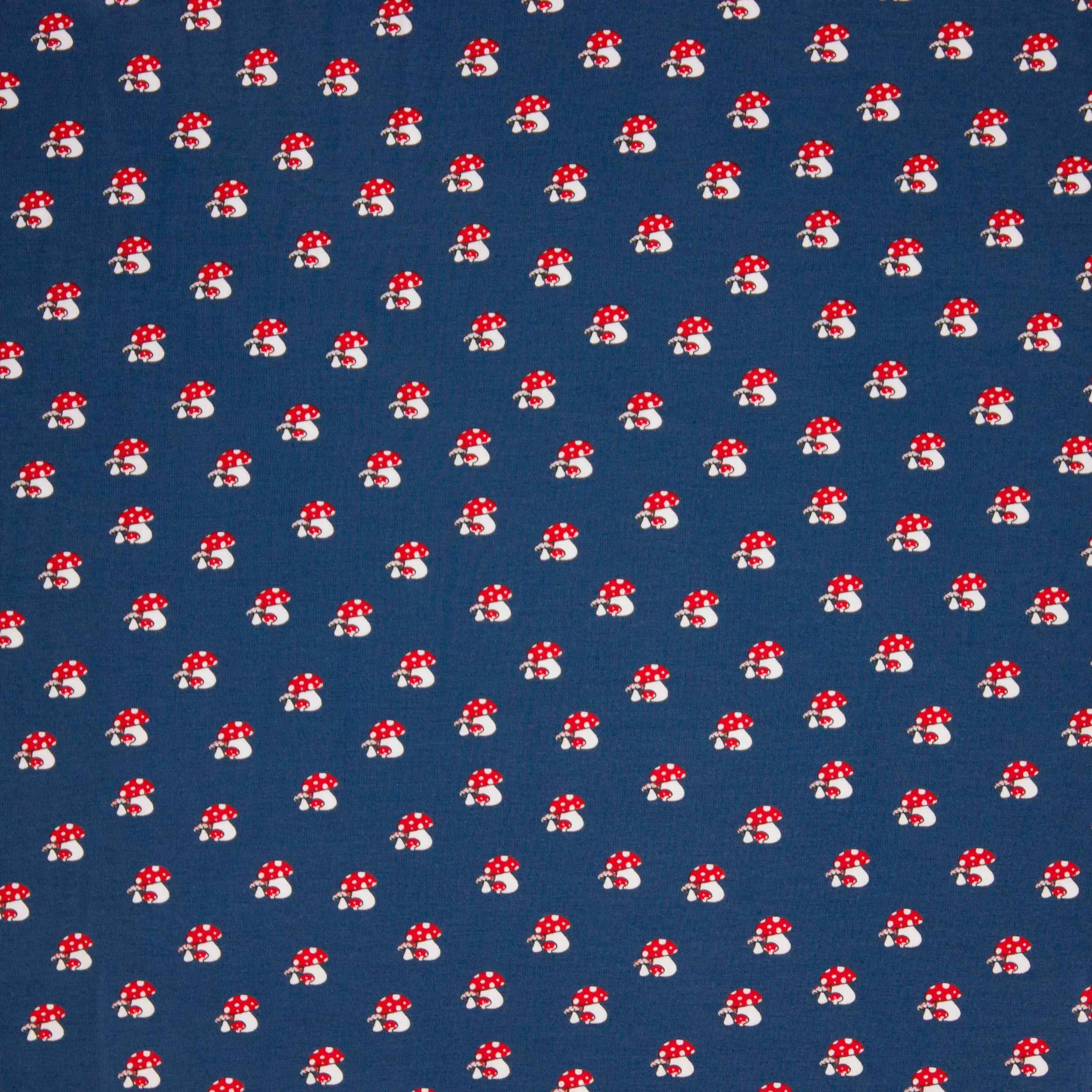 Blauwe tricot met paddenstoelen