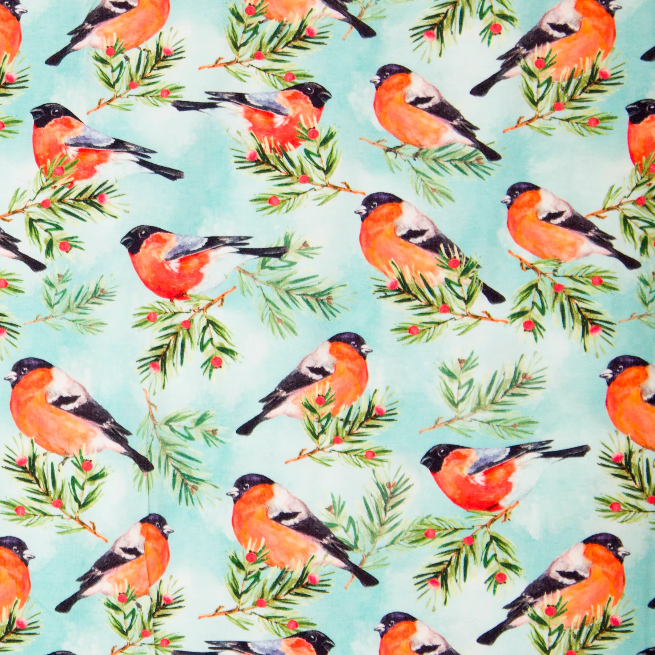 Blauwe katoentricot met vogeltjes