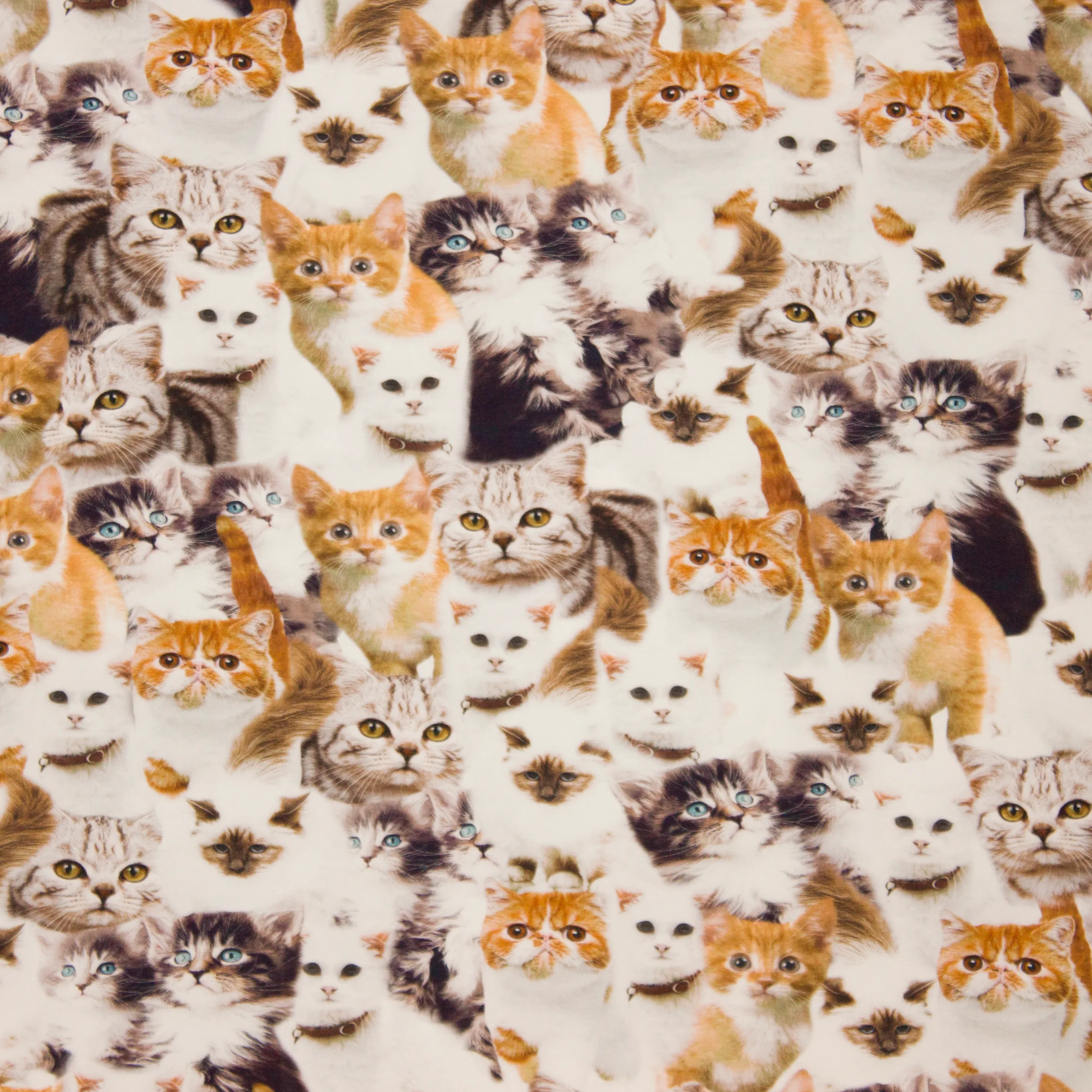 Katoentricot met katten