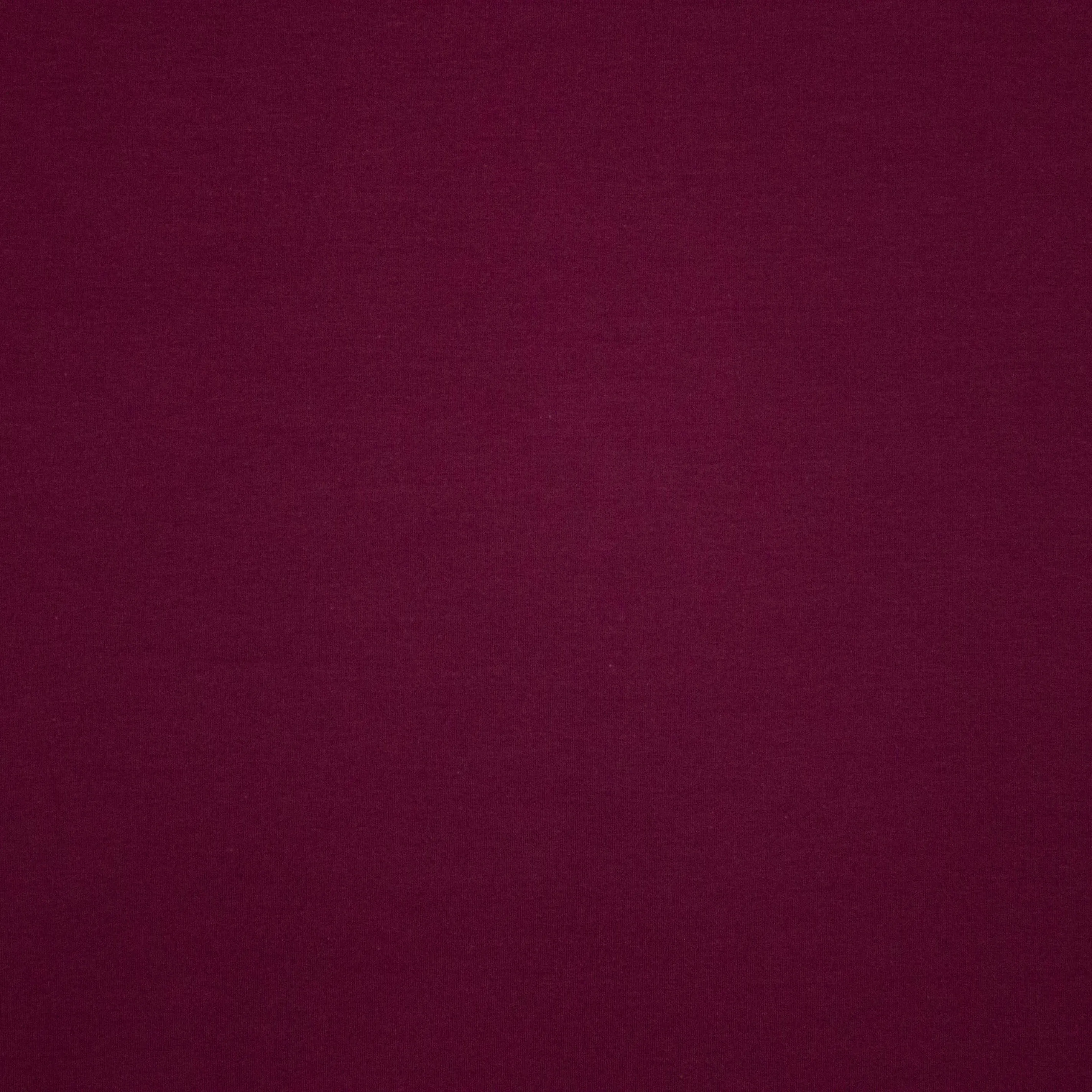Effen French Terry in aubergine van Chat Chocolat