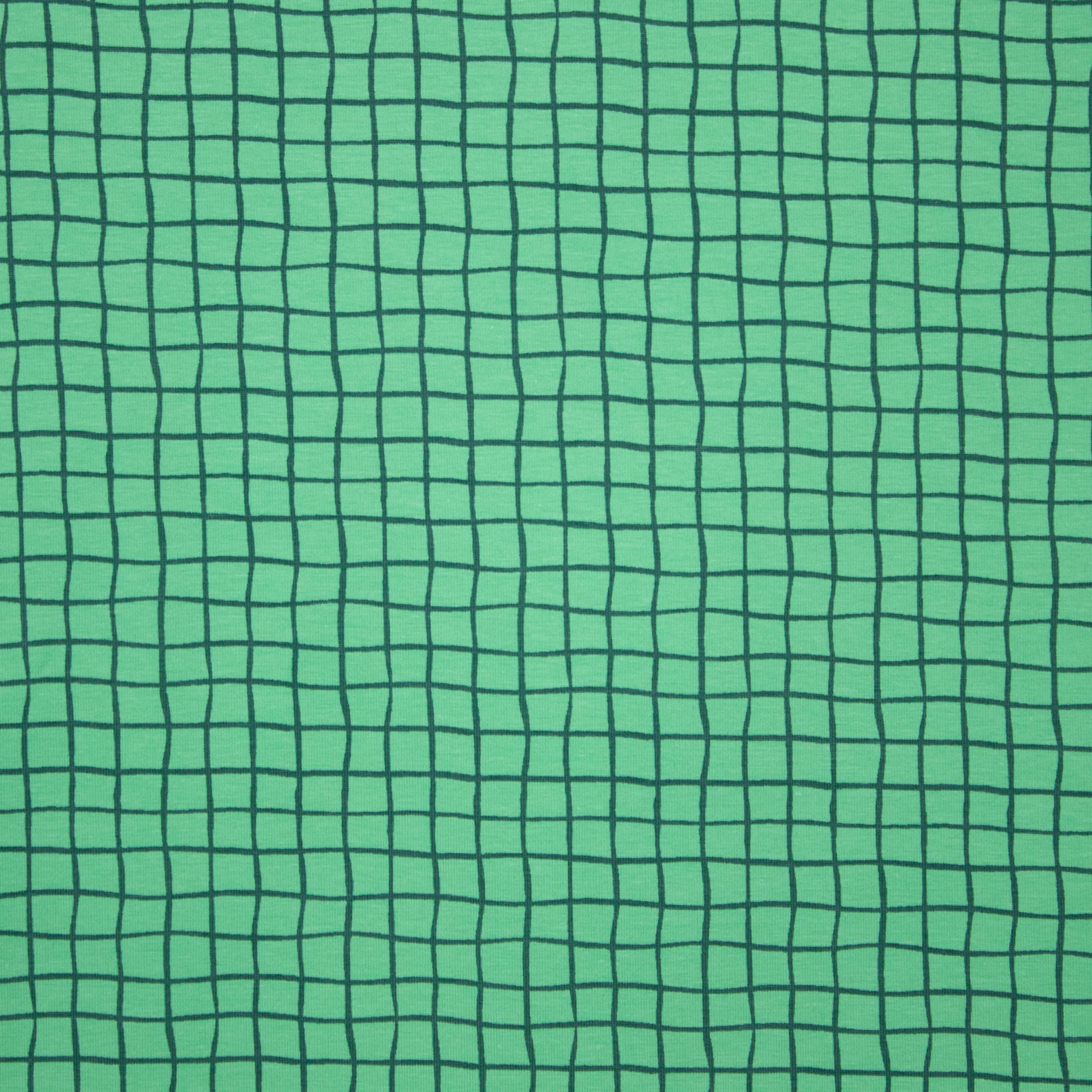Groene Tricot met Ruiten
