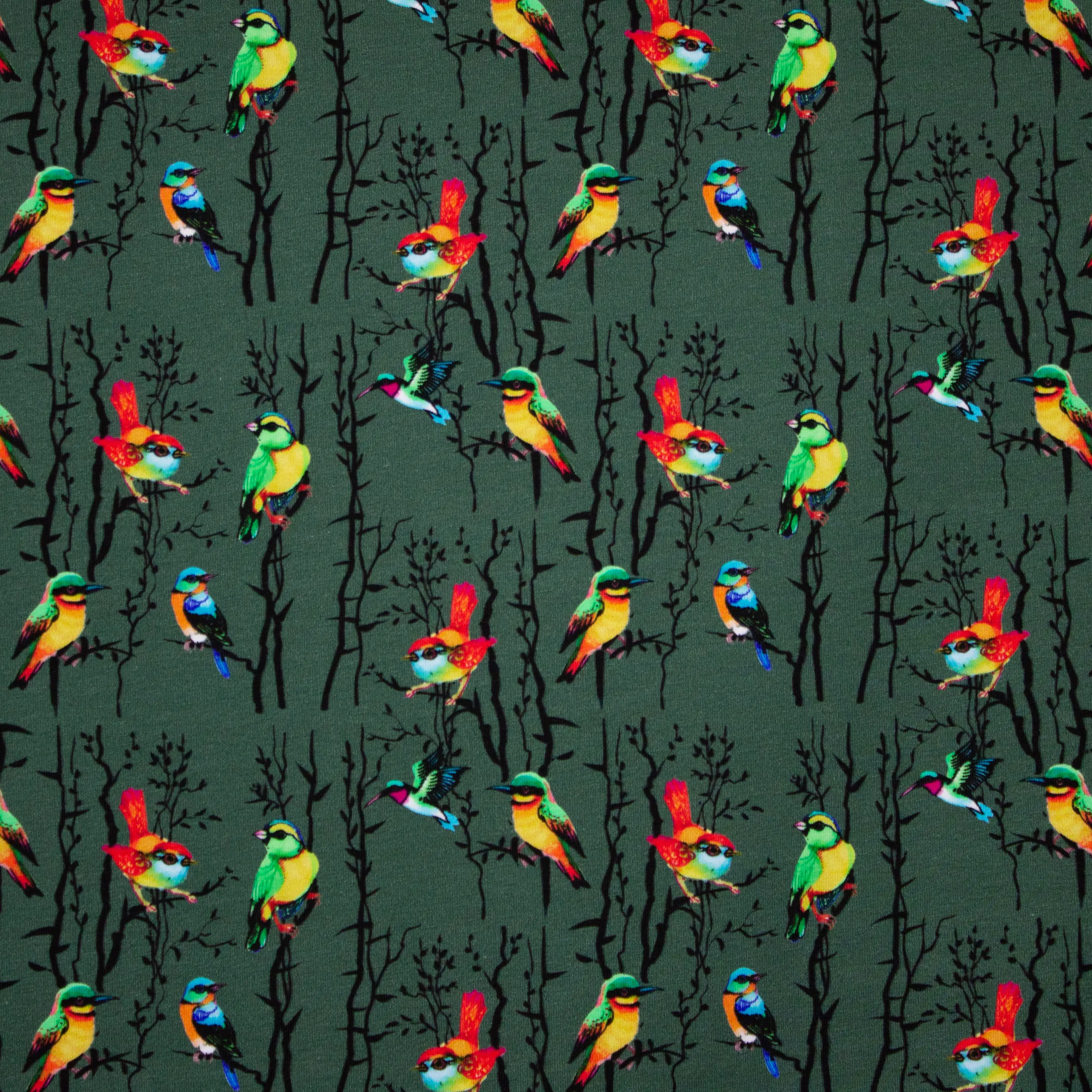 Groene Tricot met Vogels