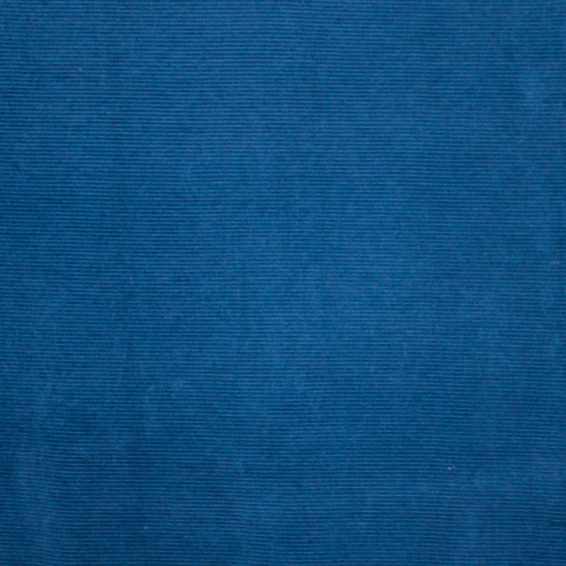 Blauwe nicky velours met rib