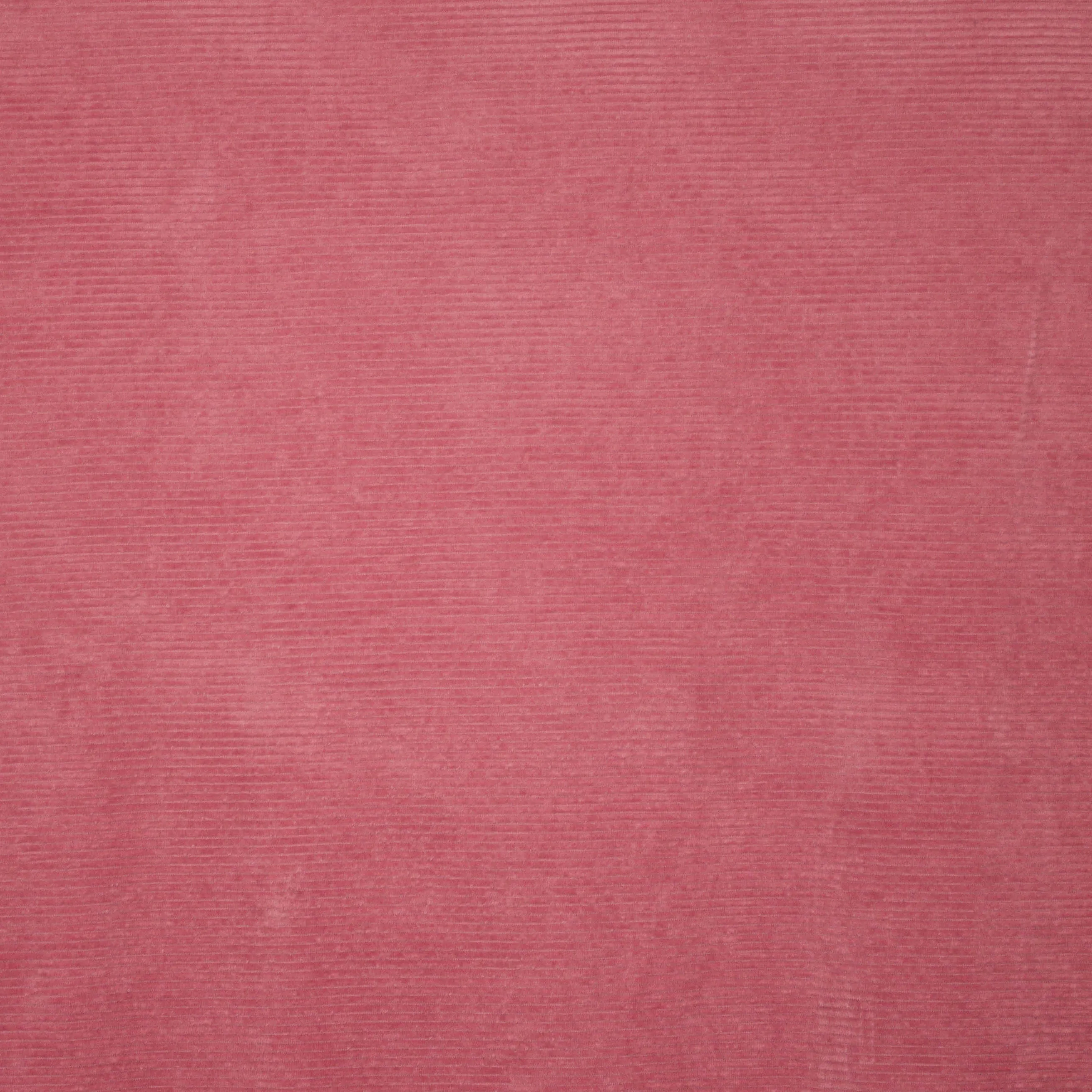 roze nicky velours met rib