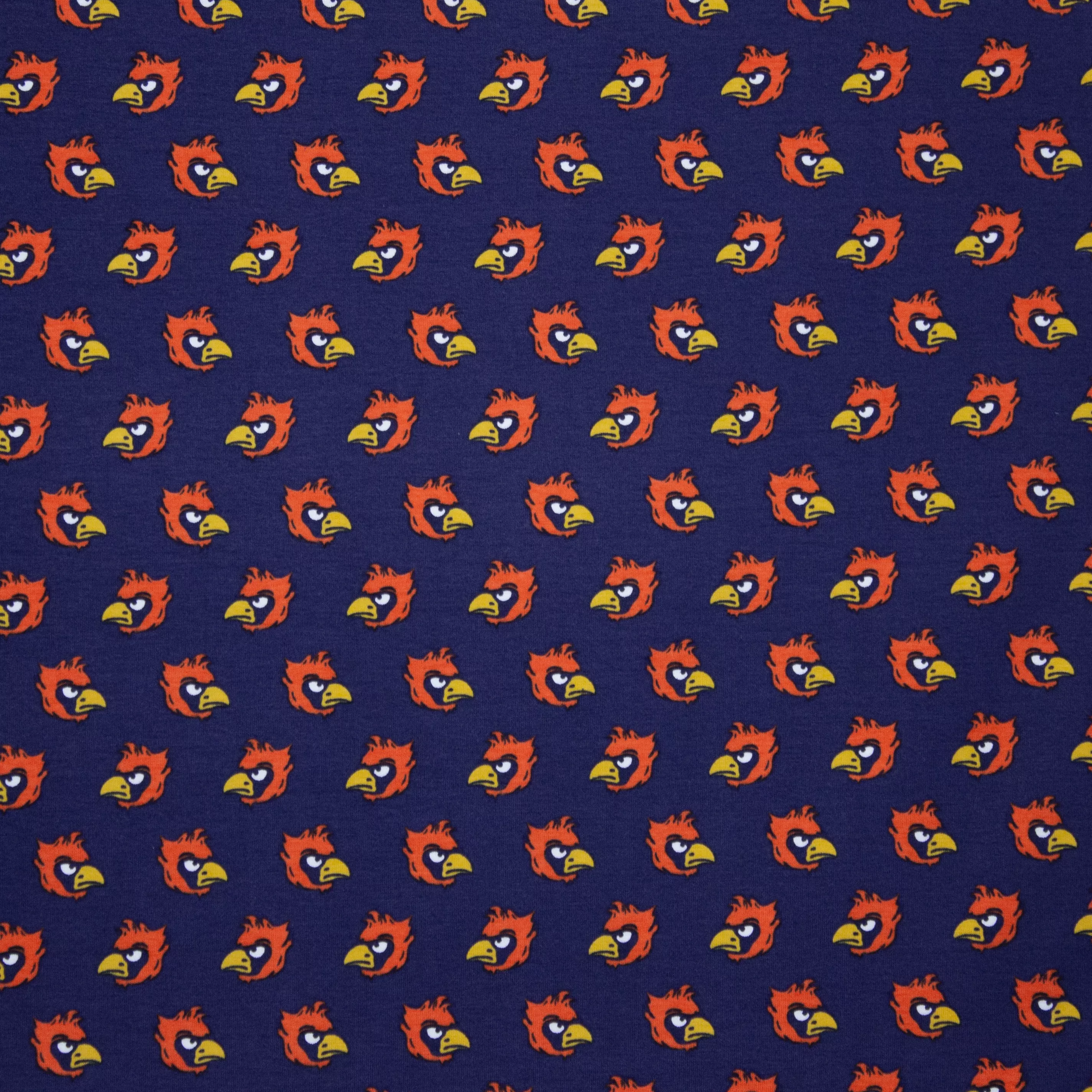Blauwe tricot met vogels 'Angry Birds'