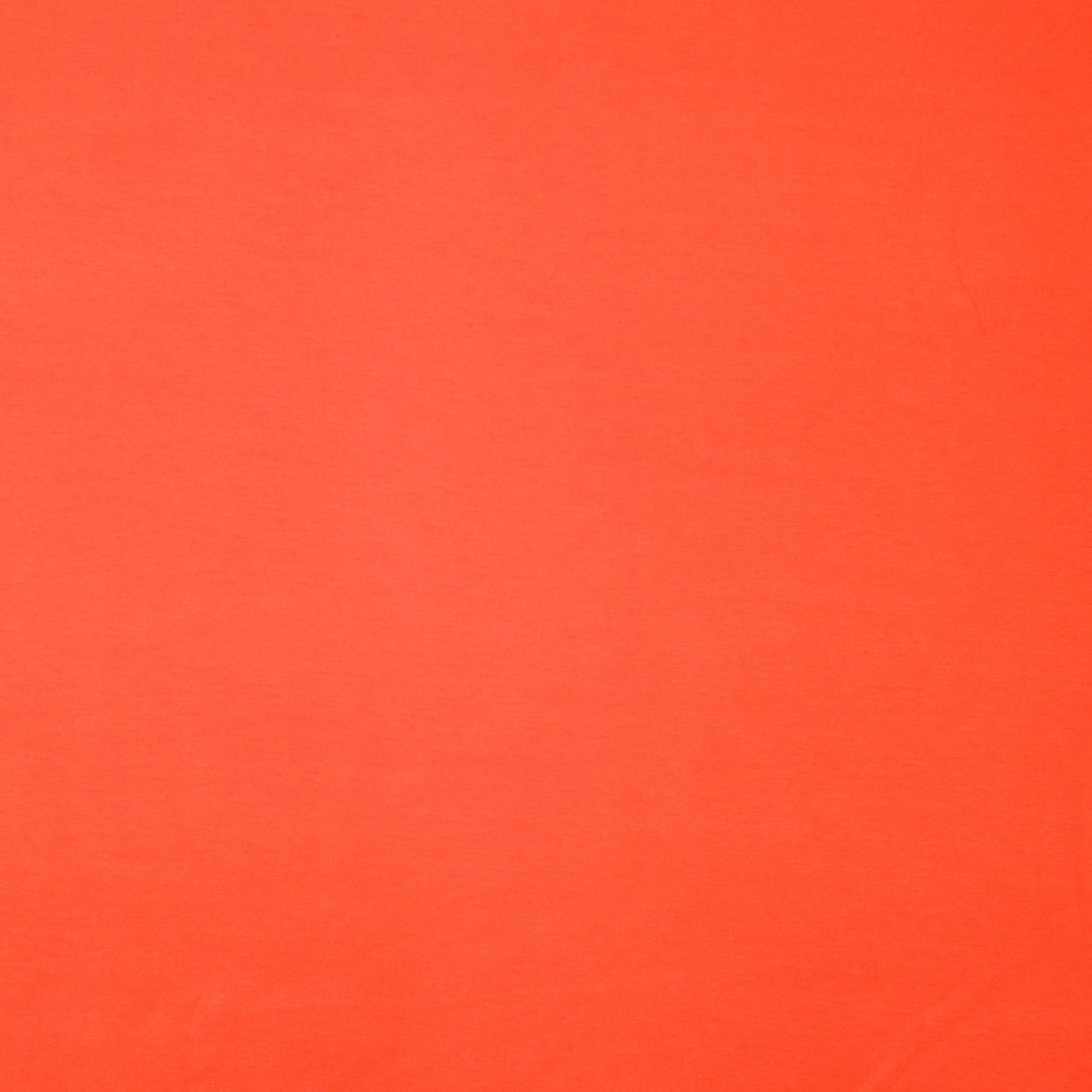 Punta di Roma oranje