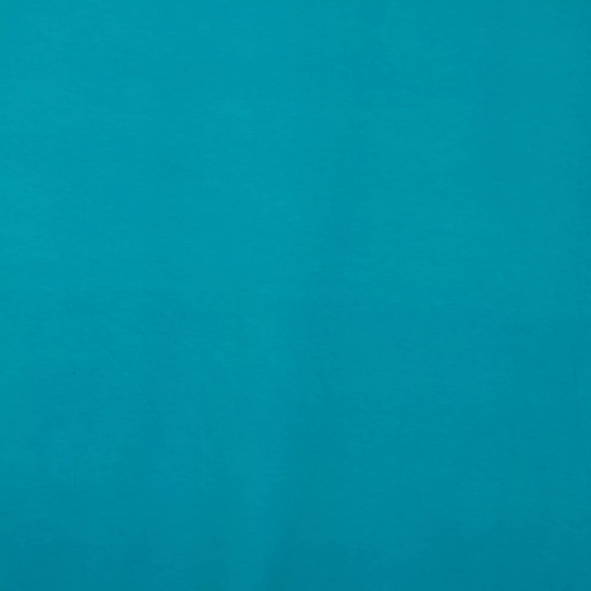 Punta di Roma Blauw