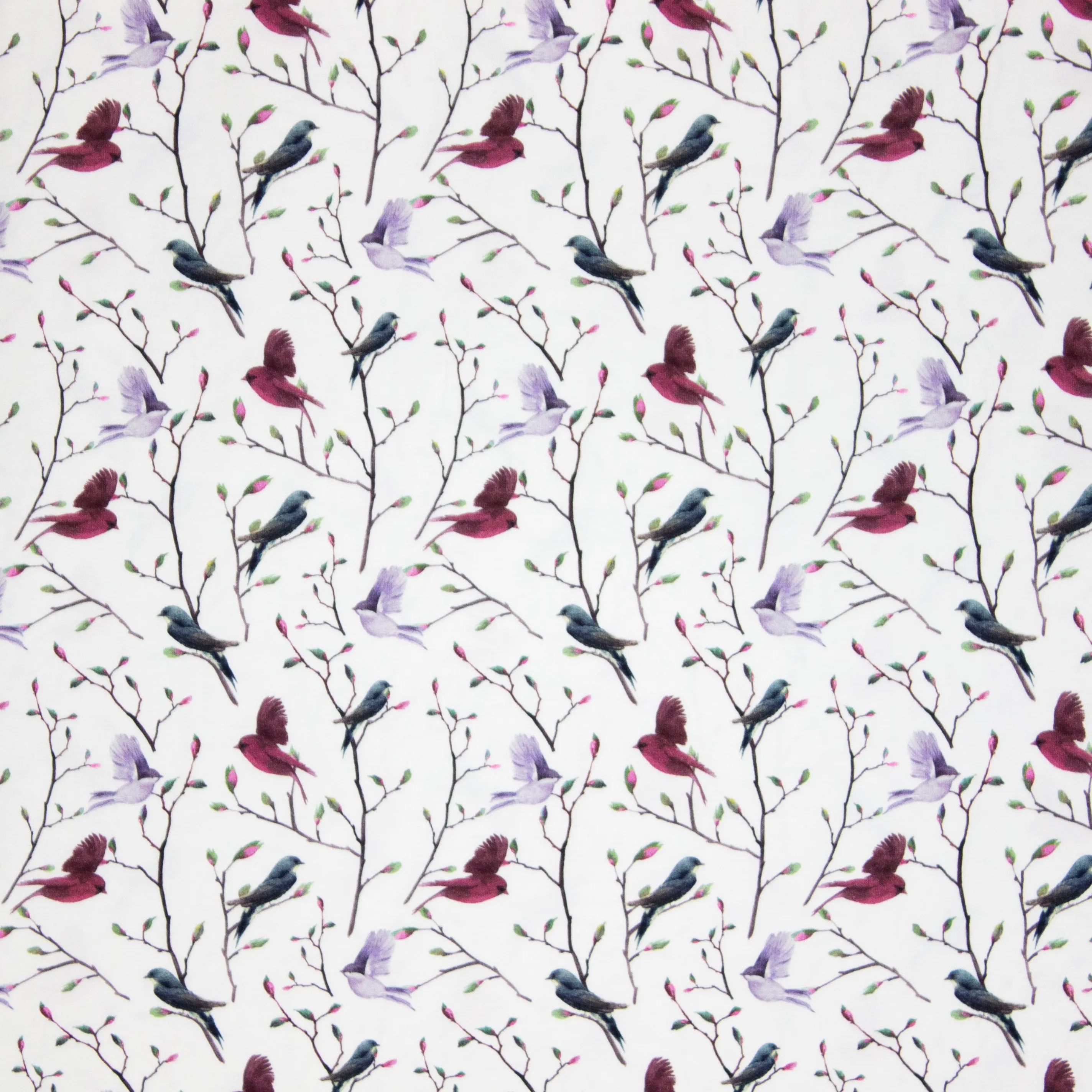 Witte Tricot met Vogels