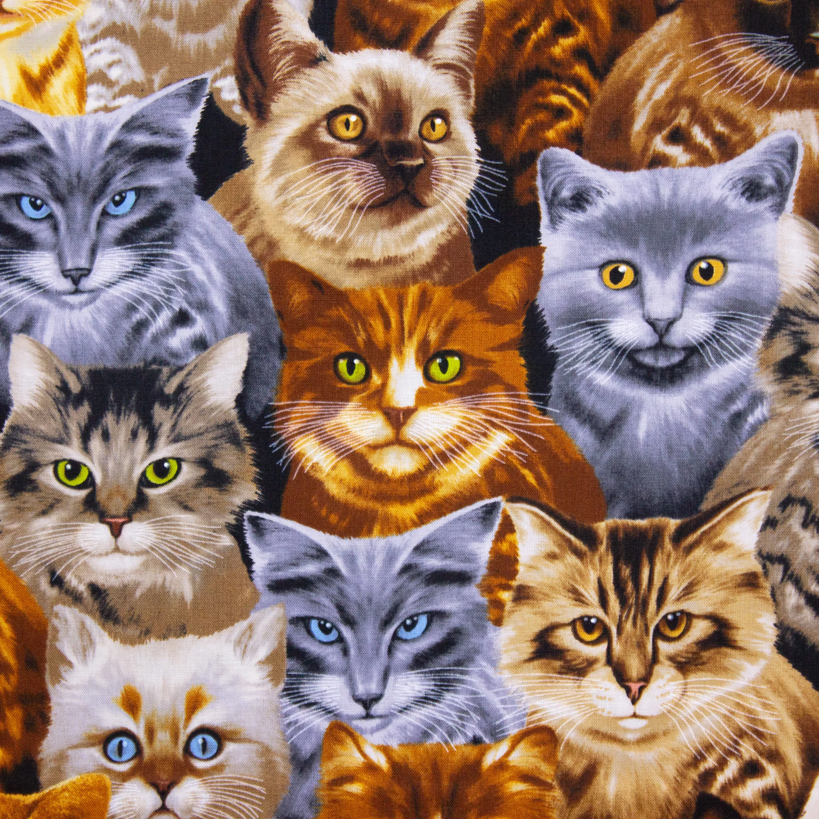 Katoen met katten