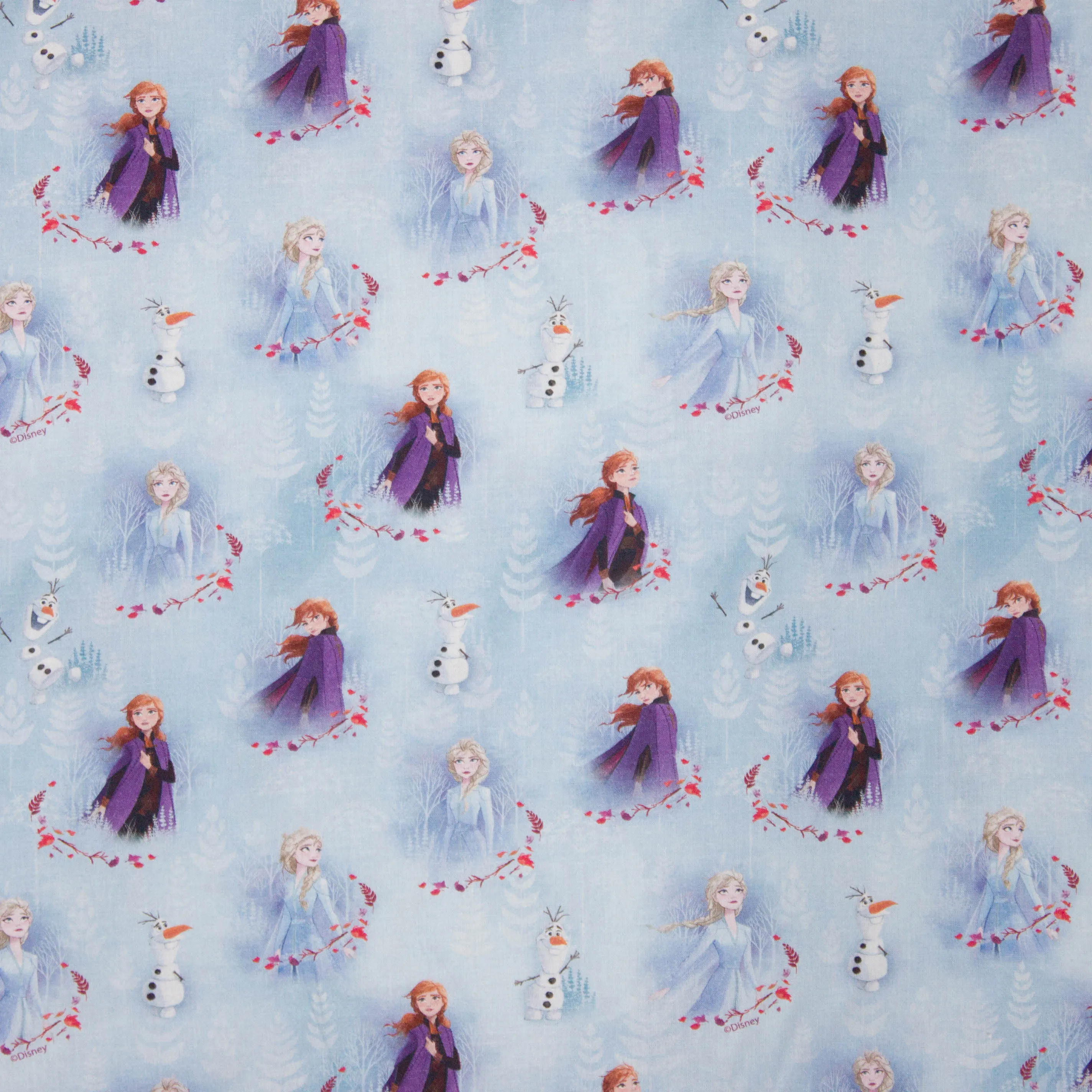 Katoentje van Disney Frozen