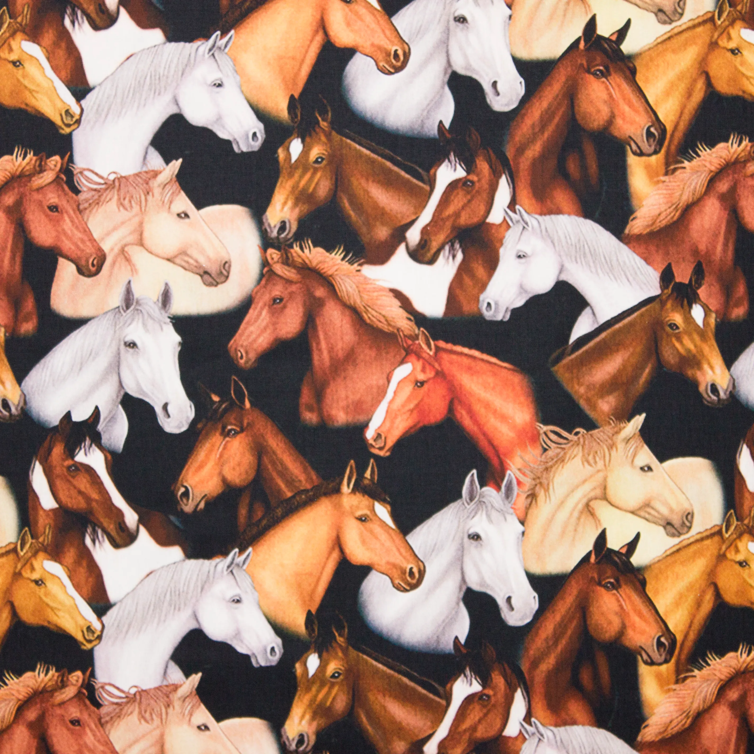 Zwarte katoen met paarden