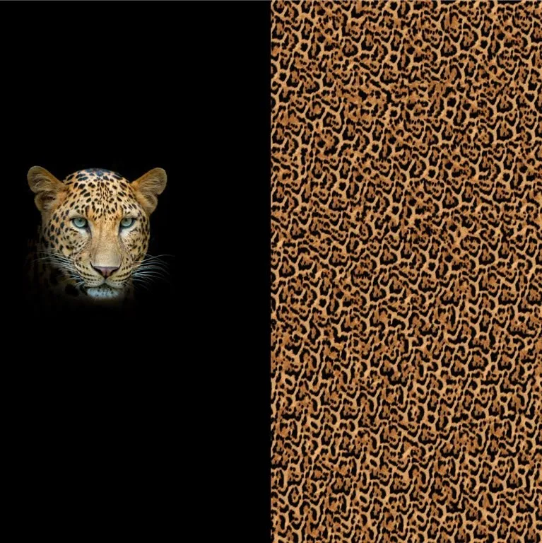 Fotopaneel tijger